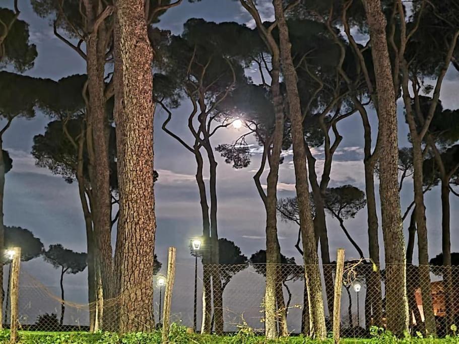 Villa La Casa Della Pineta Roma Esterno foto